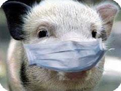 Свиной грипп в Башкирии болеют 54 человека