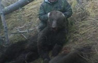 В Башкирии охотник из Челябинской области застрелил медведицу с медвежонком